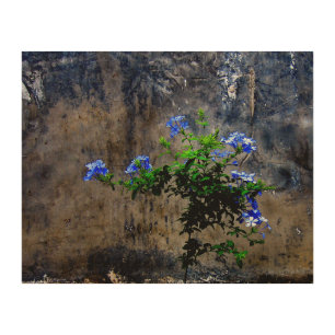 Blue Plumbago Wood Wall Art