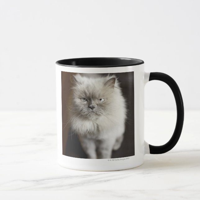 Blue Point Himalayan Cat looking irritated Mug (Right)
