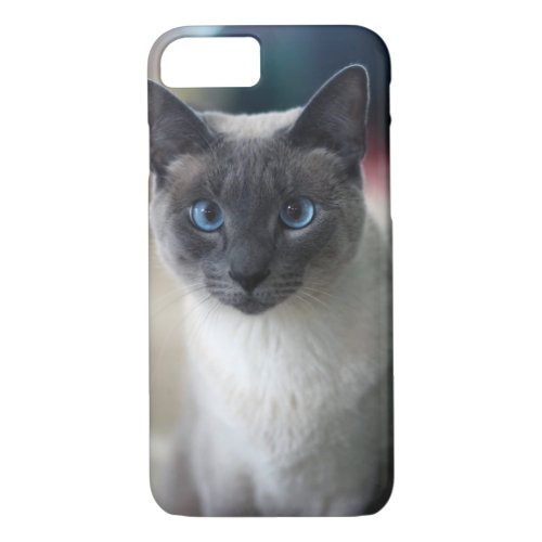 Blue Point Siamese Cat iPhone 87 Case