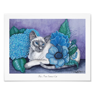 Blue Point Siamese Photo Print