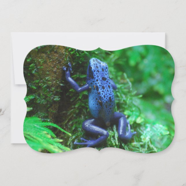 Blue Poison Arrow Frog Invitation (Front)