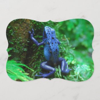 Blue Poison Arrow Frog Invitation by WildlifeAnimals at Zazzle