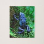 Blue Poison Arrow Frog Jigsaw Puzzle