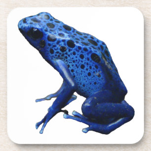 Blue Poison Dart Frog Beverage Coaster