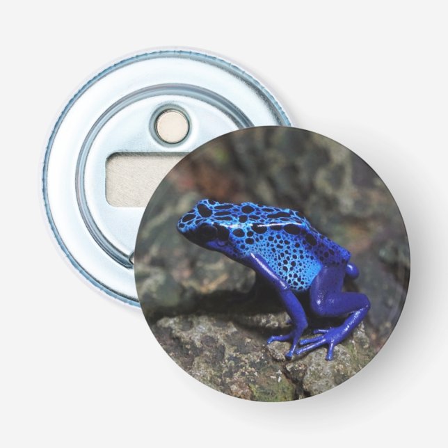 Blue Poison Dart Frog, Bright Blue Frog Bottle Opener (Front)