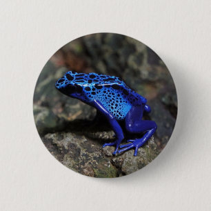 Blue Poison Dart Frog, Bright Blue Frog Button