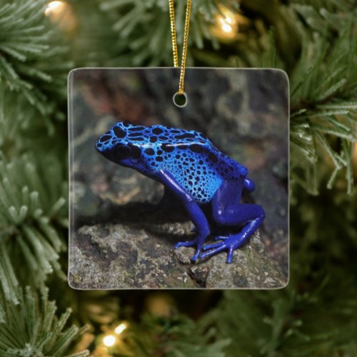 Blue Poison Dart Frog Bright Blue Frog Ceramic Ornament