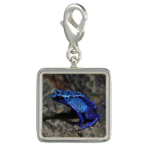 Blue Poison Dart Frog, Bright Blue Frog Charm