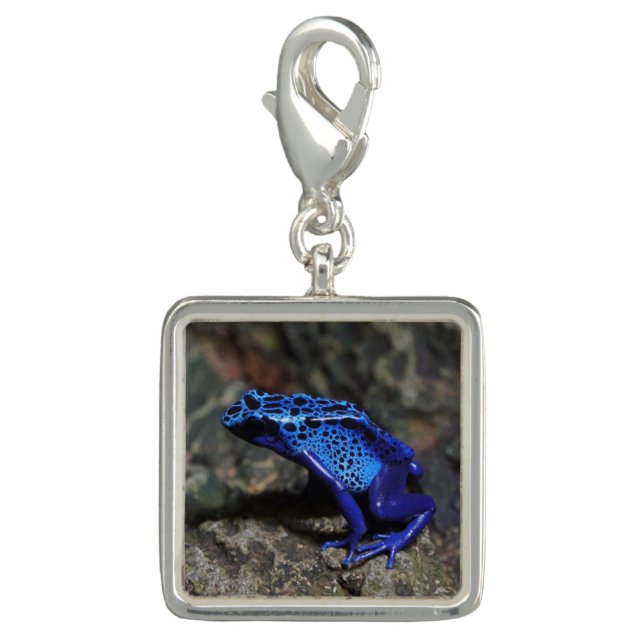 Blue Poison Dart Frog, Bright Blue Frog Charm (Front)