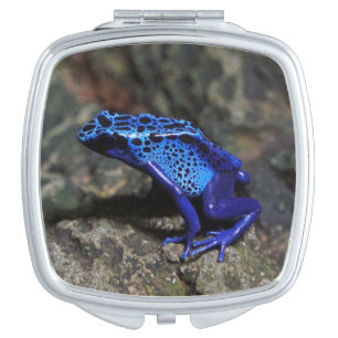 Blue Poison Dart Frog, Bright Blue Frog Compact Mirror