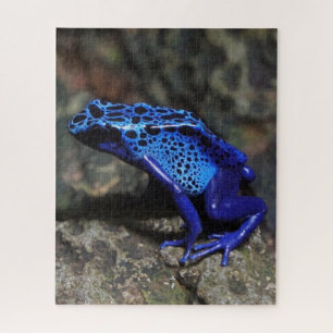 Blue Poison Dart Frog, Bright Blue Frog Jigsaw Puzzle