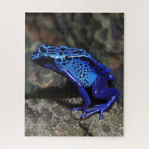 Blue Poison Dart Frog Bright Blue Frog Jigsaw Puzzle
