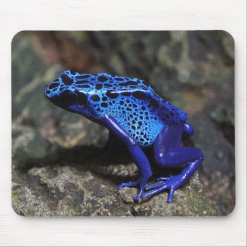 Blue Poison Dart Frog Bright Blue Frog Mouse Pad