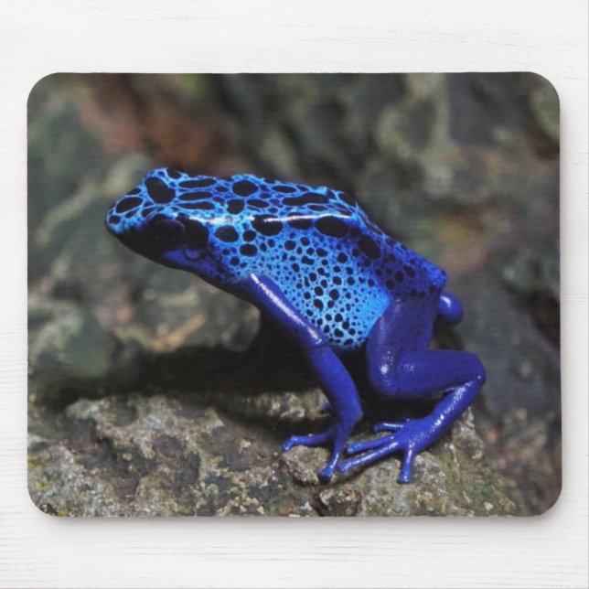 Blue Poison Dart Frog, Bright Blue Frog Mouse Pad (Front)