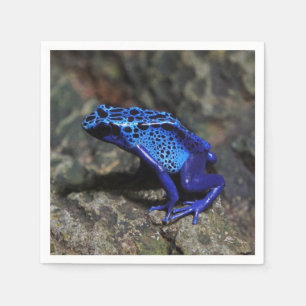 Blue Poison Dart Frog, Bright Blue Frog Napkins