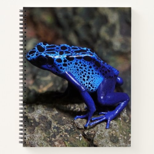 Blue Poison Dart Frog Bright Blue Frog Notebook