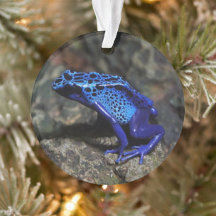 Blue Poison Dart Frog, Bright Blue Frog Ornament