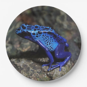 Blue Poison Dart Frog, Bright Blue Frog Paper Plates