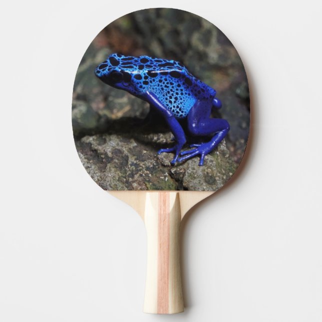Blue Poison Dart Frog, Bright Blue Frog Ping Pong Paddle (Front)