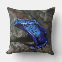 Blue Poison Dart Frog, Bright Blue Frog