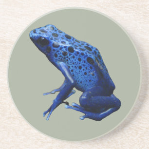 Blue Poison Dart Frog Coaster