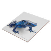 Blue Poison Dart Frog (Dendrobates Tinctorius) Ceramic Tile (Side)