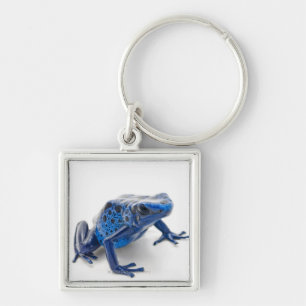 Blue Poison Dart Frog (Dendrobates Tinctorius) Keychain