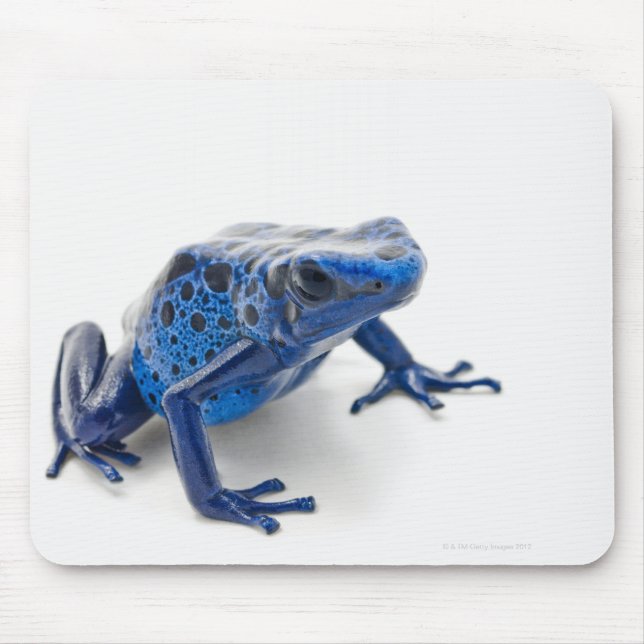 Blue Poison Dart Frog (Dendrobates Tinctorius) Mouse Pad (Front)