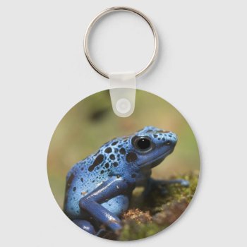 Blue Poison Dart Frog Keychain by KenKPhoto at Zazzle