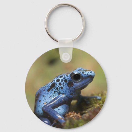 Blue Poison Dart Frog Keychain