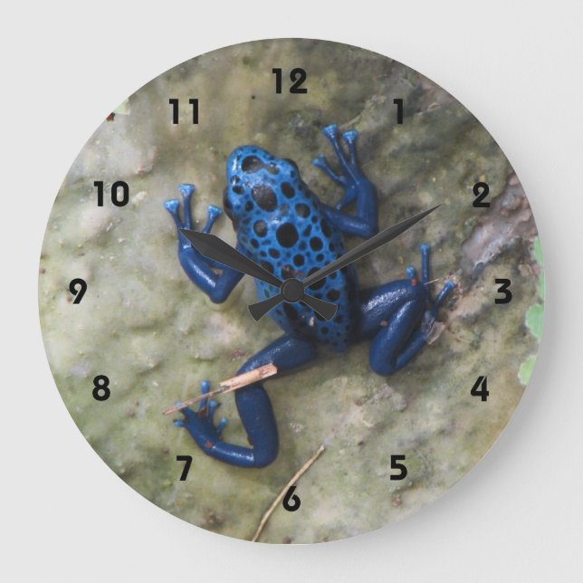 Blue Poison Dart Frog Large Clock (Front)