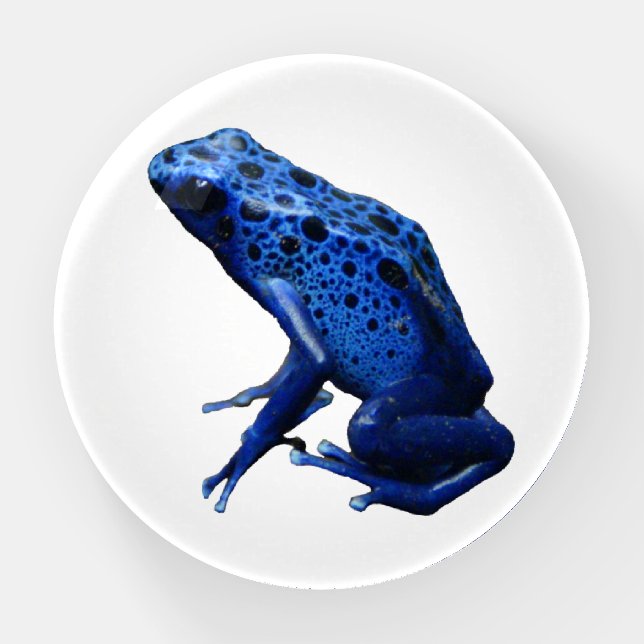 Blue Poison Dart Frog Paperweight (Front)