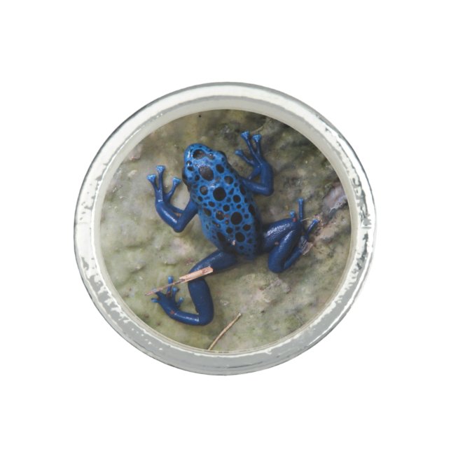 Blue Poison Dart Frog Ring (Front)