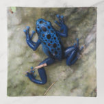 Blue Poison Dart Frog Trinket Tray at Zazzle