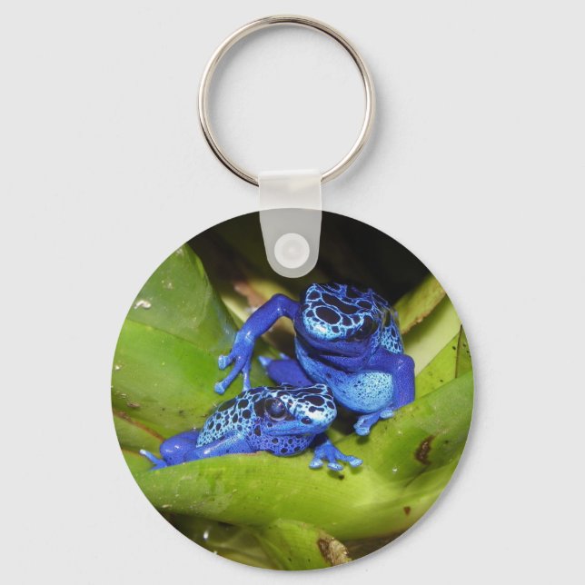 Blue Poison Dart Frogs In Leaf 1 Keychain (Front)