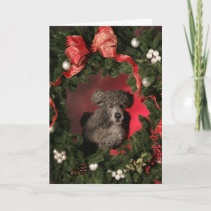 Blue Poodle Jumping Through a Christmas Wreath Holiday Card