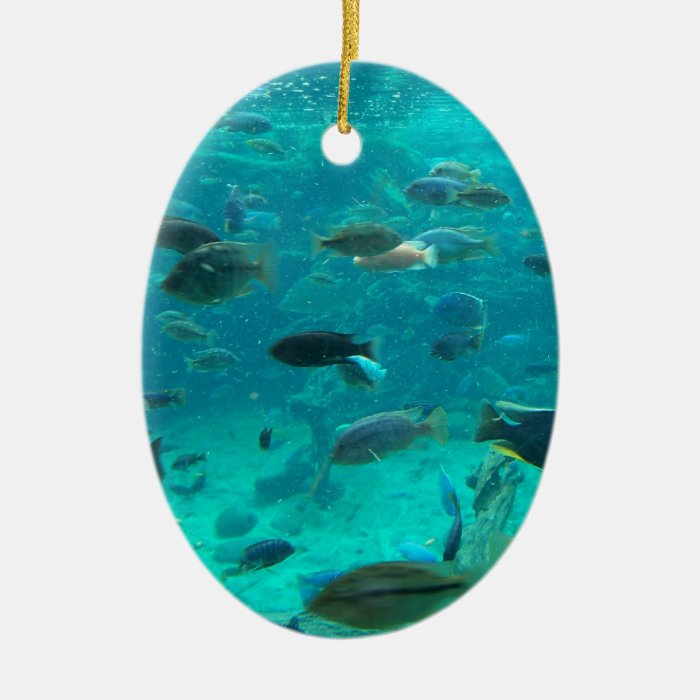 Blue pool of cichlids swimming around design christmas ornaments