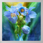 Blue Poppies Bouquet Art Poster/Print Poster