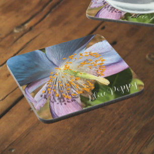 Blue Poppy Bloom Floral Beverage Coaster