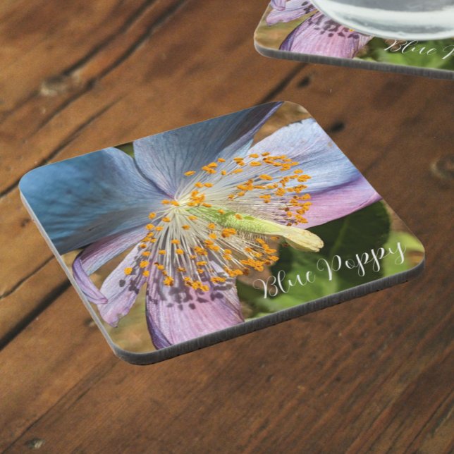 Blue Poppy Bloom Floral Beverage Coaster (In Situ)