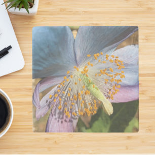 Blue Poppy Bloom Floral Stone Coaster