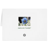 Blue Poppy Card (Back Horizontal)