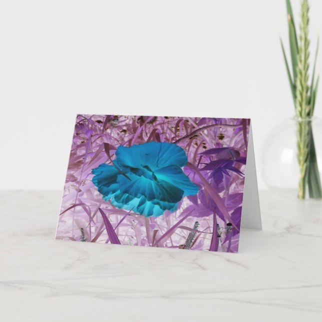 "Blue Poppy" Digitally Edited Photo: Flower, Grass Card (Front)