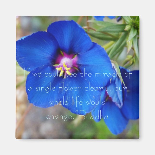 Blue Poppy flower with inspiring quote from Buddha Magnet (Front)