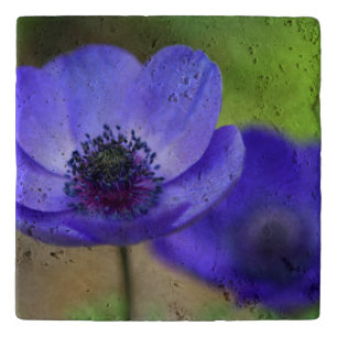 Blue Poppy Flowers Trivet