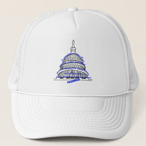 Blue Protect Democracy Trucker Hat