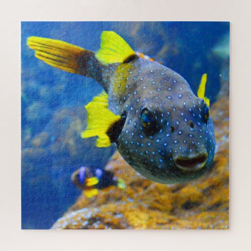 Blue Pufferfish Yellow Fins  Spotted Jigsaw Puzzle