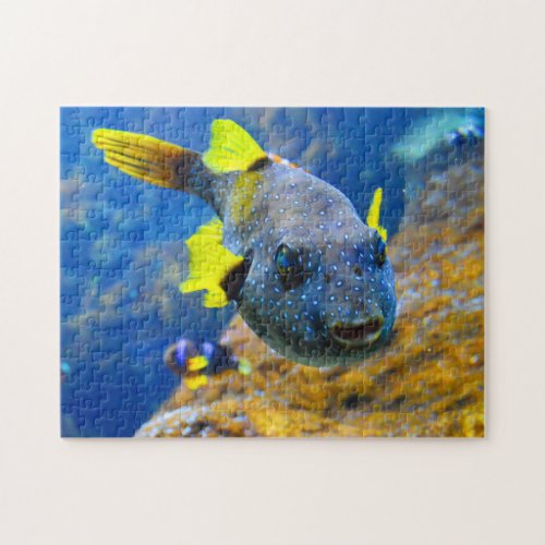 Blue Pufferfish Yellow Fins  Spotted Jigsaw Puzzle