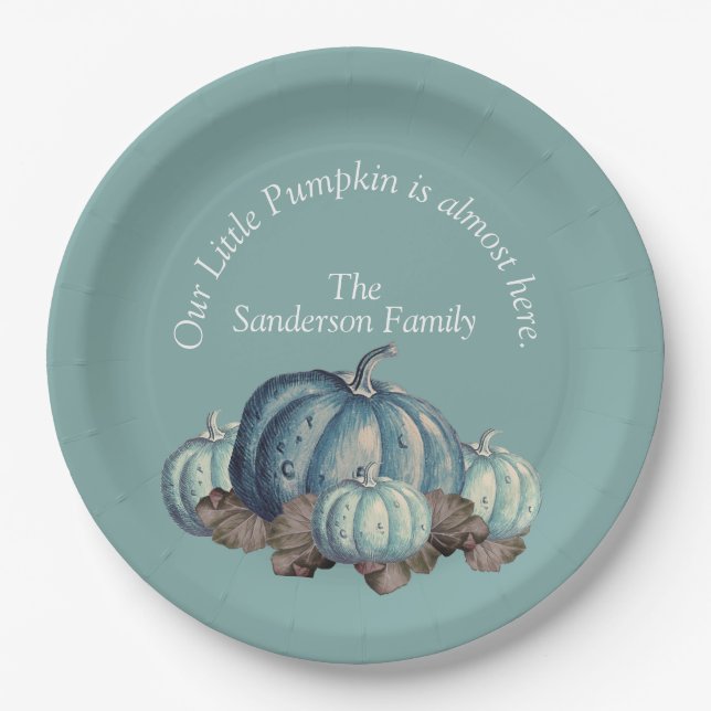 Blue Pumpkin Baby Shower Paper Plates (Front)