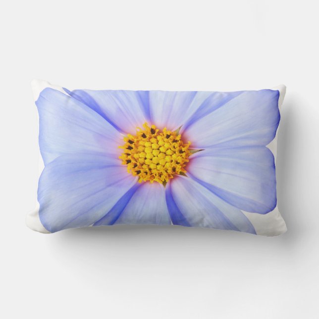 Blue Purple Daisy Customized Daisies Template Lumbar Pillow (Front)